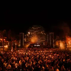 Multitud vibrante en el festival Sophie, disfrutando de la música bajo luces cálidas y palmeras.