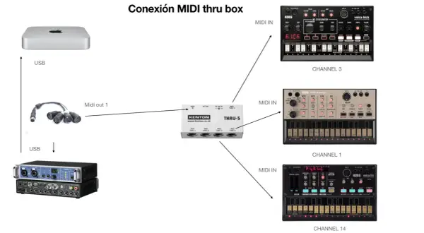 Diagrama de conexión MIDI thru box: un Mac mini se conecta vía USB a una interfaz de audio, y su salida MIDI se dirige a una caja Kenton THRU-5. Esta caja distribuye la señal a varios sintetizadores Korg Volca.