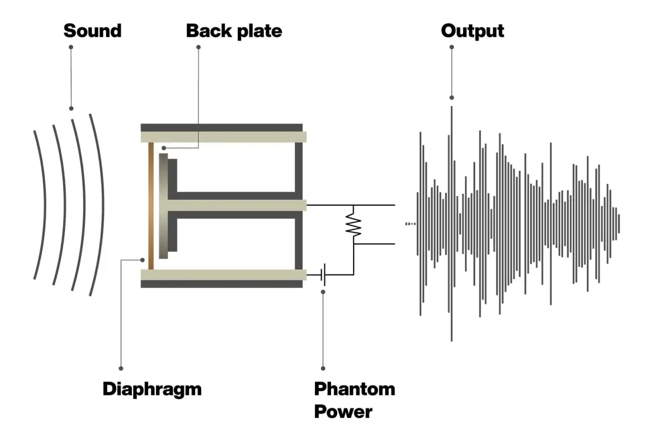 Diagrama de las partes de un micrófono: diafragma, placa posterior, alimentación fantasma y salida de audio.