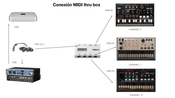 Diagrama de conexión MIDI thru box: un Mac mini se conecta vía USB a una interfaz de audio, y su salida MIDI se dirige a una caja Kenton THRU-5. Esta caja distribuye la señal a varios sintetizadores Korg Volca.
